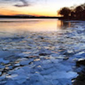 Meet your Posher, Jane